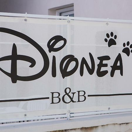 B&B Dionea Santa Maria di Castellabate Exterior photo