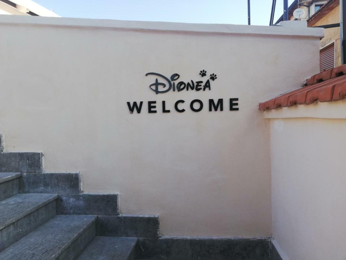 B&B Dionea Santa Maria di Castellabate Exterior photo
